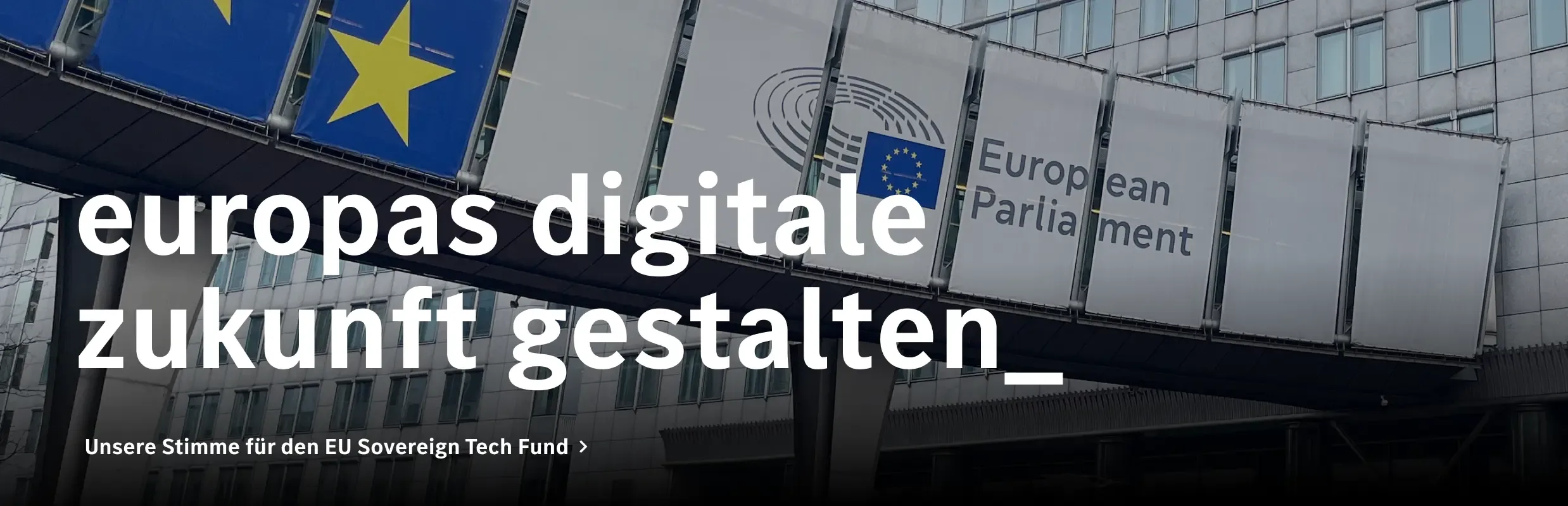 Schau dir unseren Beitrag zum EU Sovereign Tech Fund an